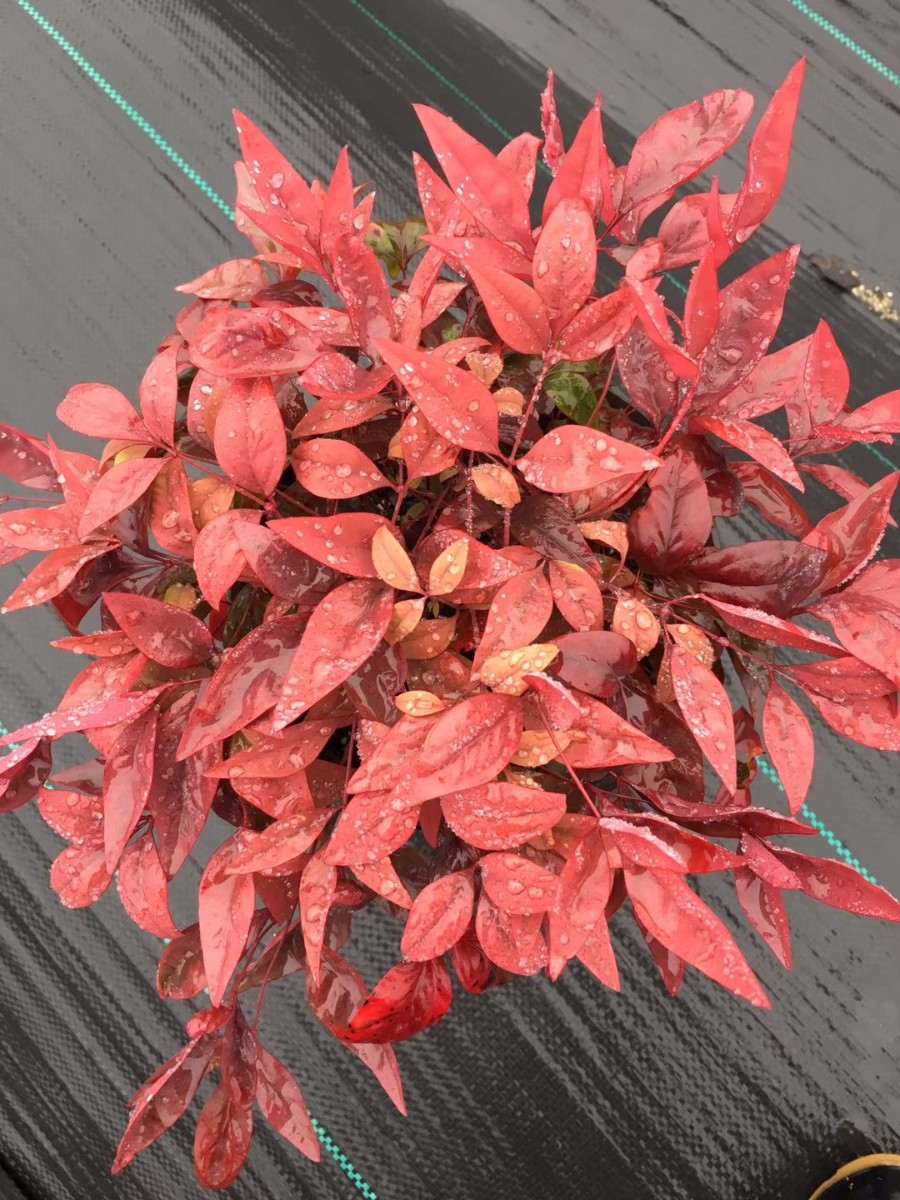 關于品質，我們“用圖”說話