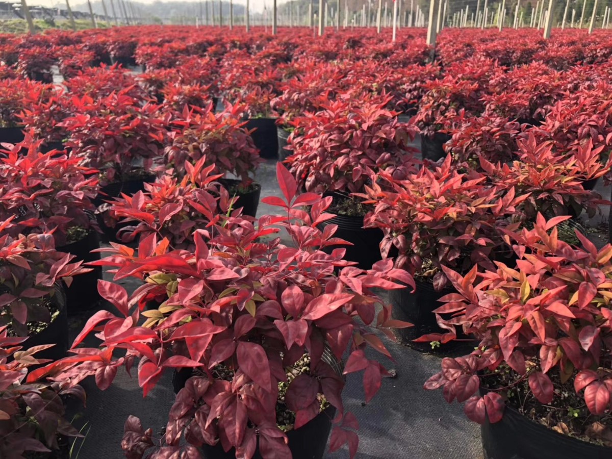 關于品質，我們“用圖”說話