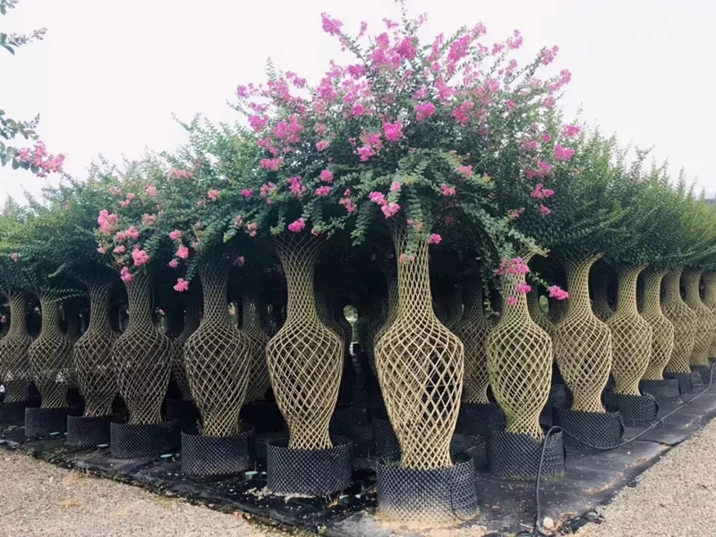 泰安市發(fā)改委副主任林敬到汶陽鎮(zhèn)督導(dǎo)重點(diǎn)項目復(fù)工開工及疫情防控工作